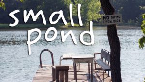 Small Pond Poster - Chimaeric Motion Pictures